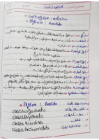 DOC-20221128-WA0150..pdf